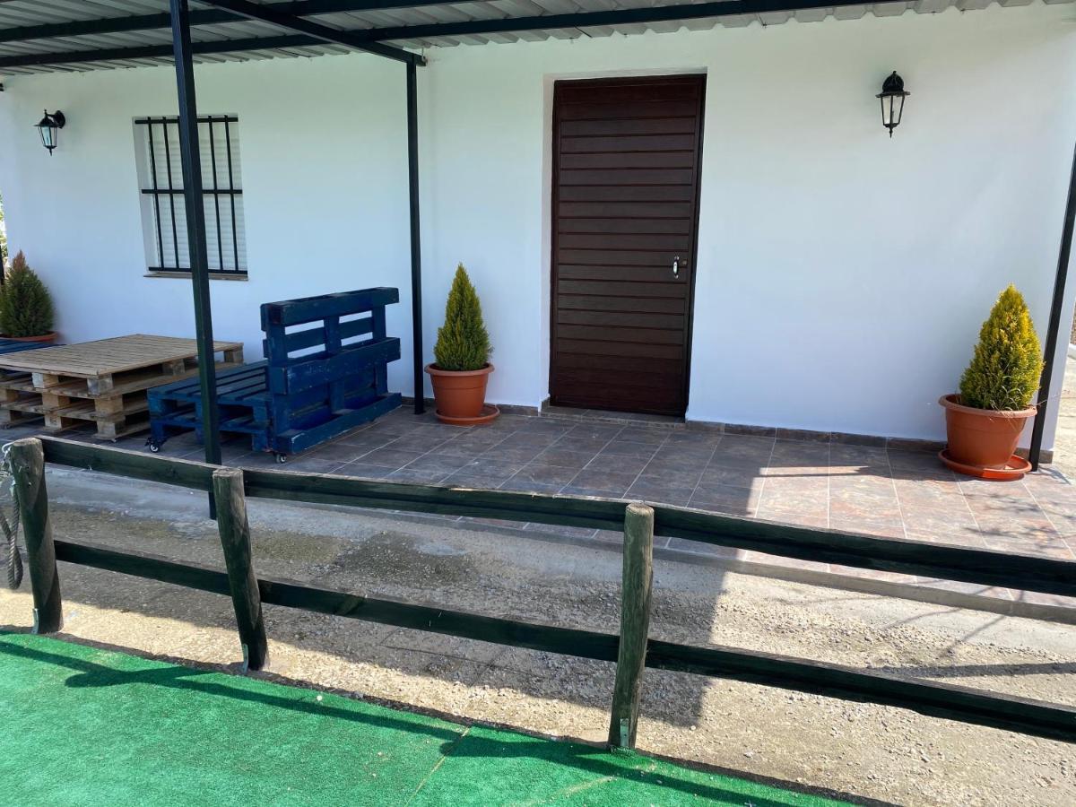Alojamiento Rural Setenil Setenil De Las Bodegas المظهر الخارجي الصورة
