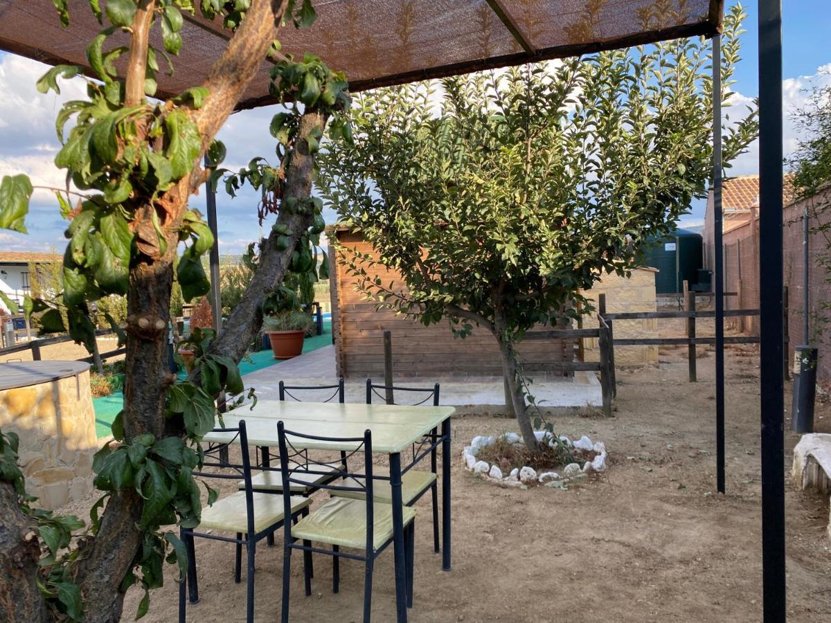 Alojamiento Rural Setenil Setenil De Las Bodegas المظهر الخارجي الصورة