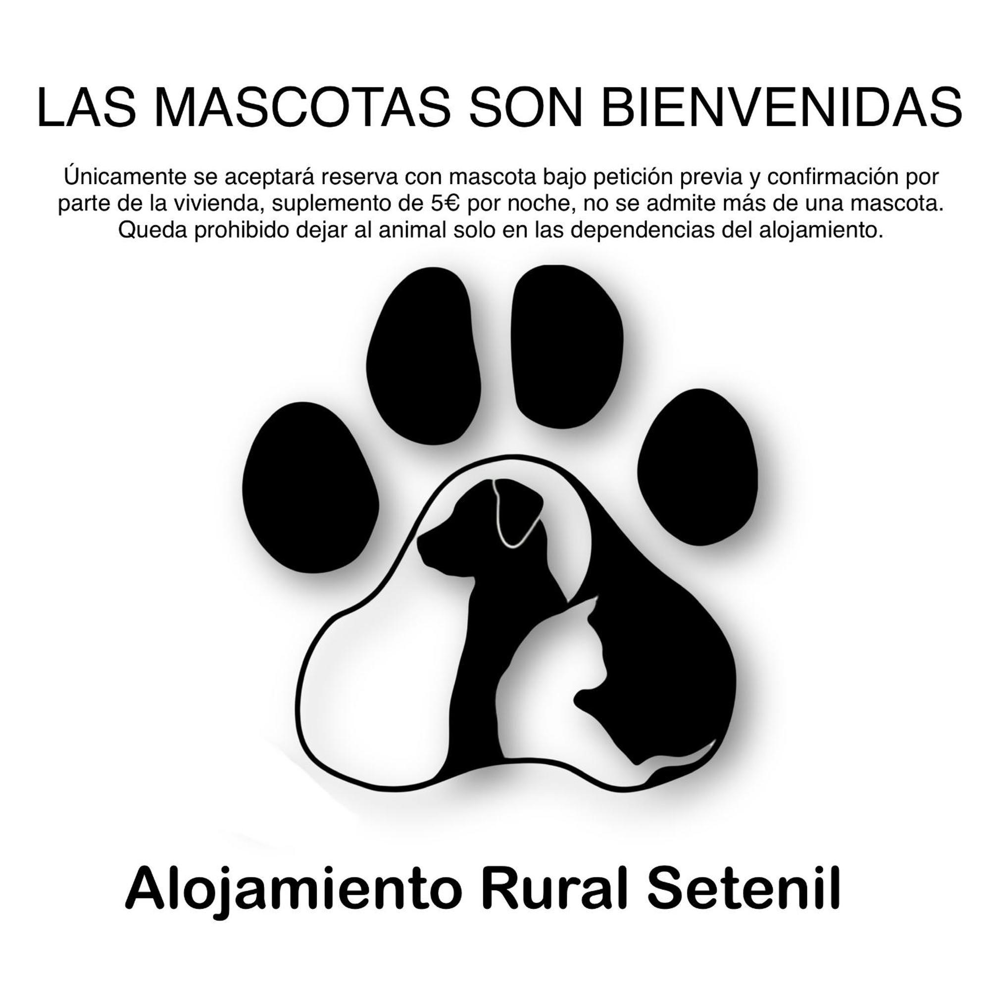 Alojamiento Rural Setenil Setenil De Las Bodegas المظهر الخارجي الصورة